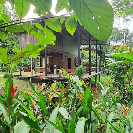 Amazona Lodge Летисия Екстериор снимка