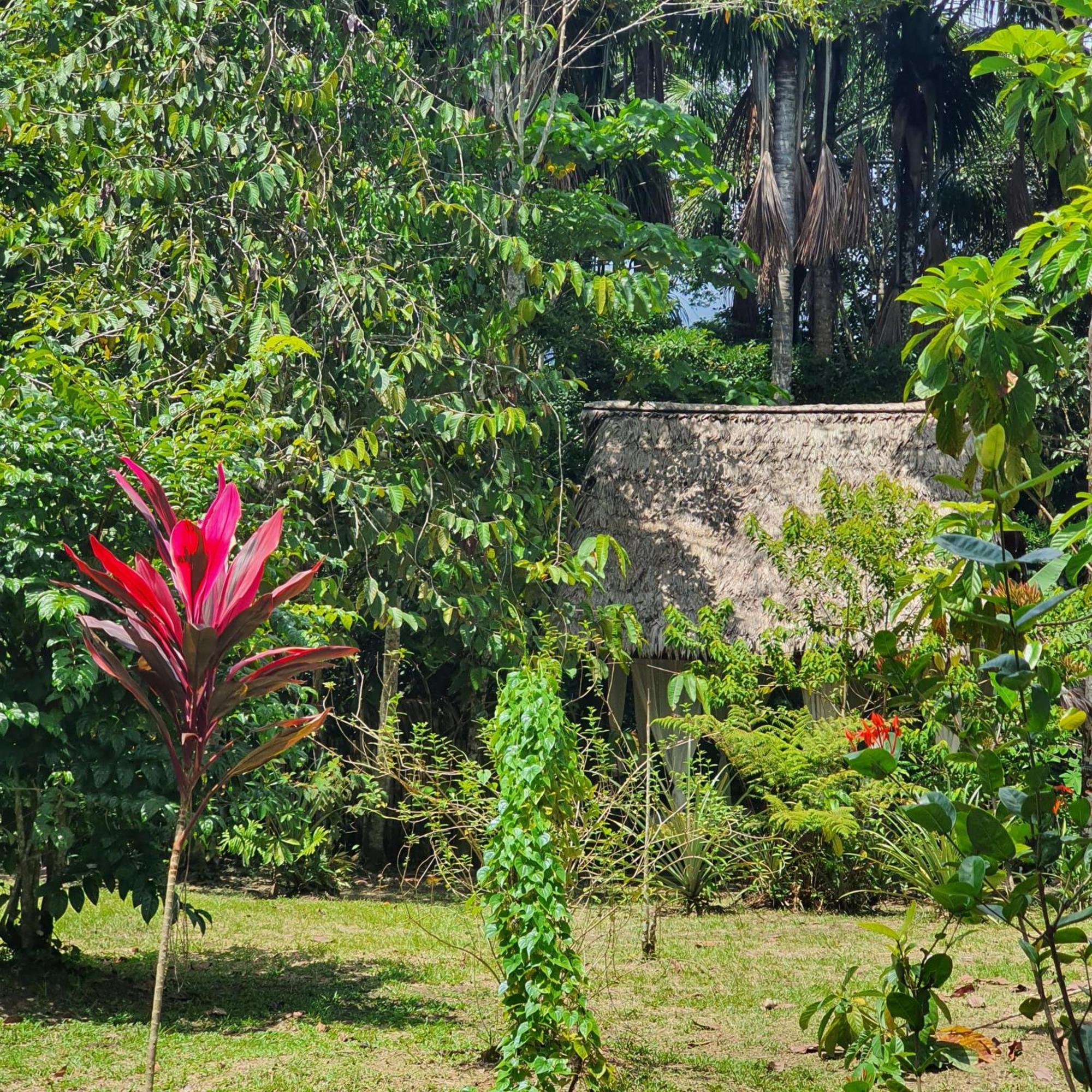 Amazona Lodge Летисия Екстериор снимка