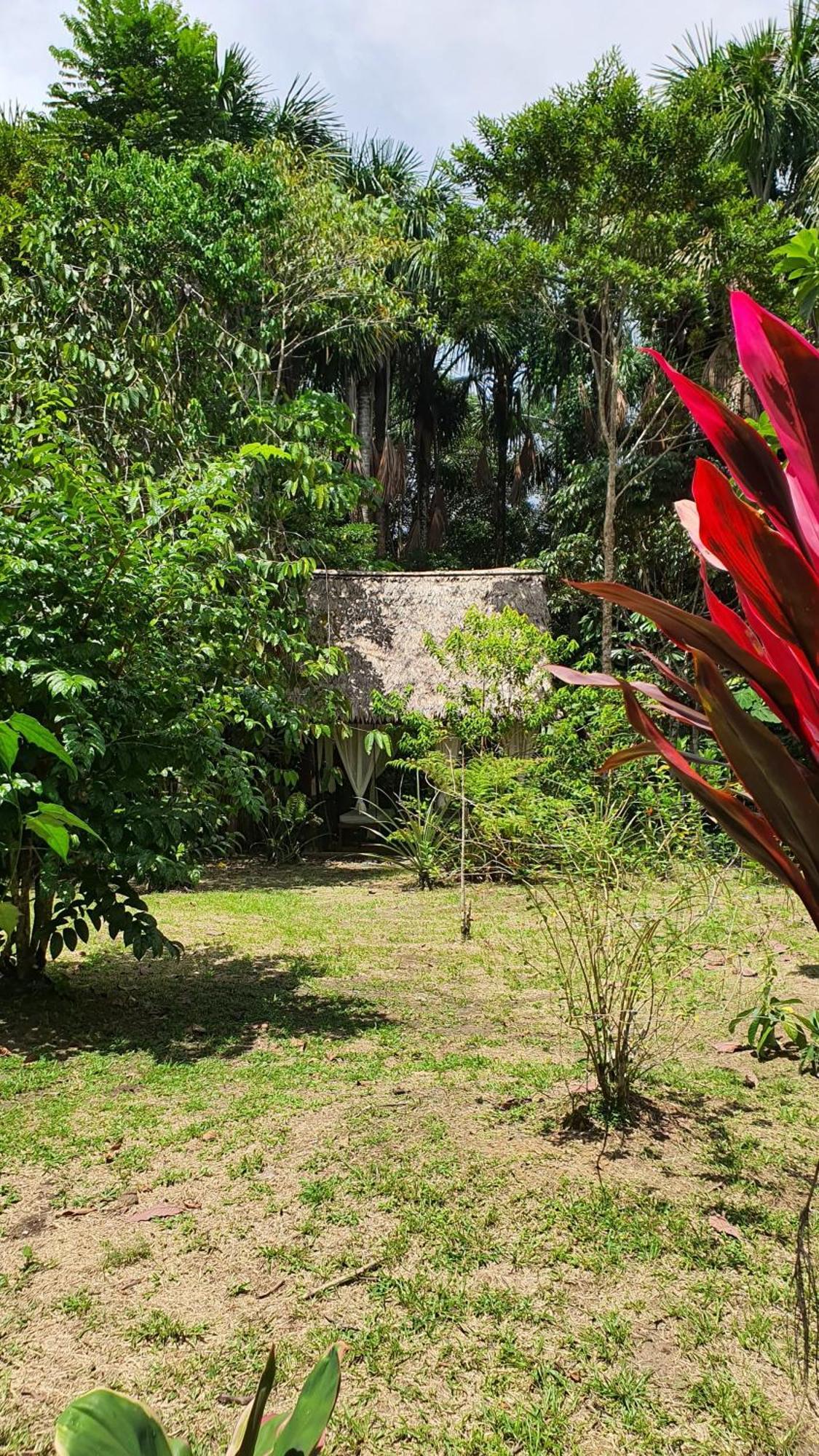 Amazona Lodge Летисия Екстериор снимка