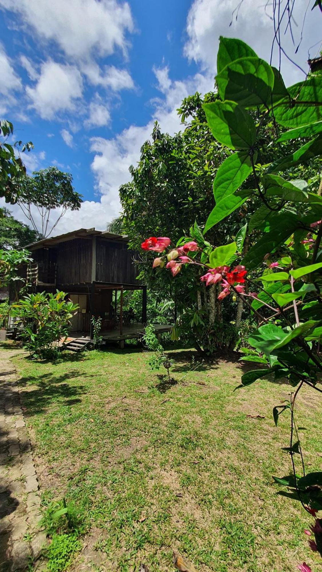 Amazona Lodge Летисия Екстериор снимка