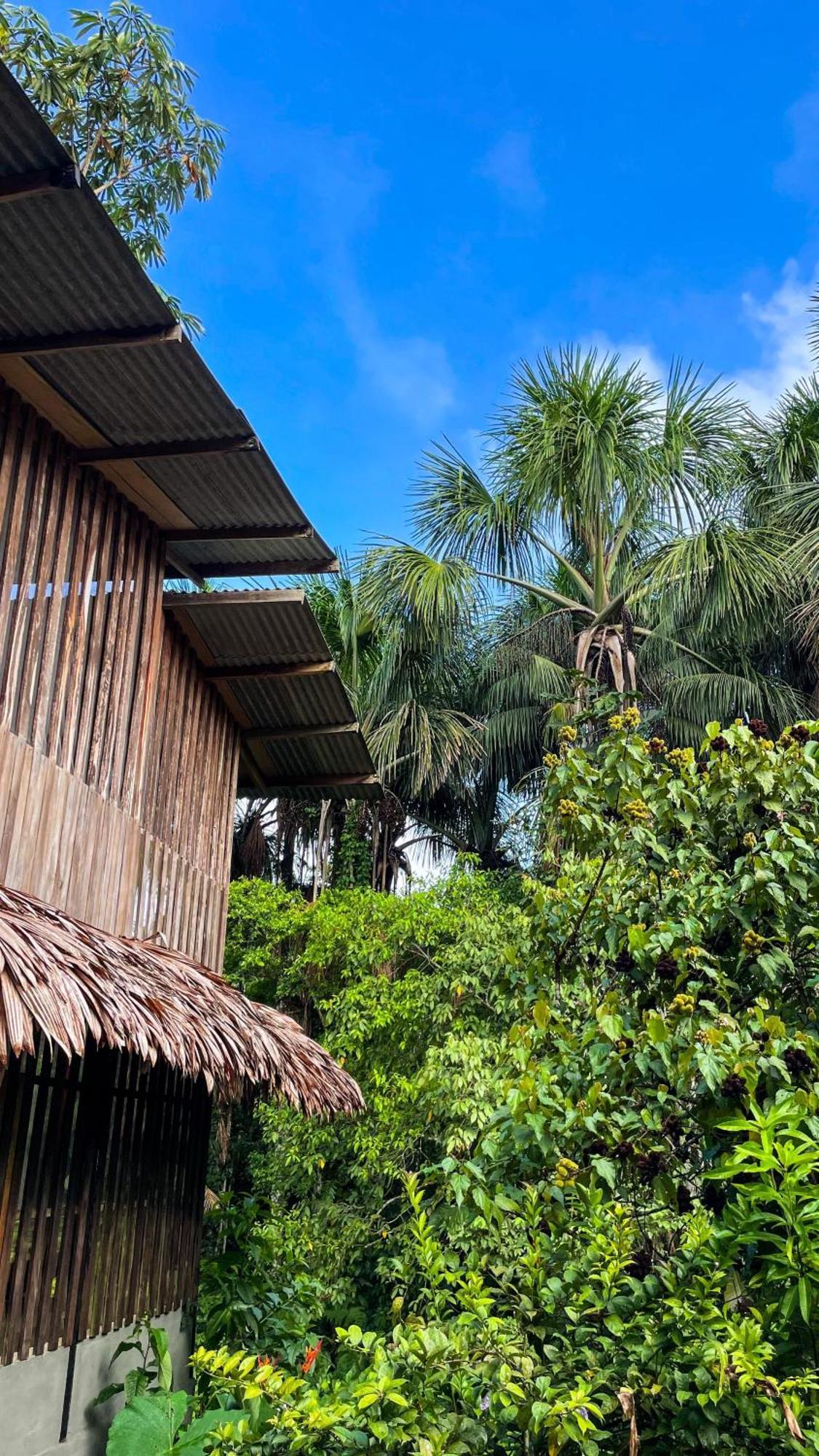 Amazona Lodge Летисия Екстериор снимка