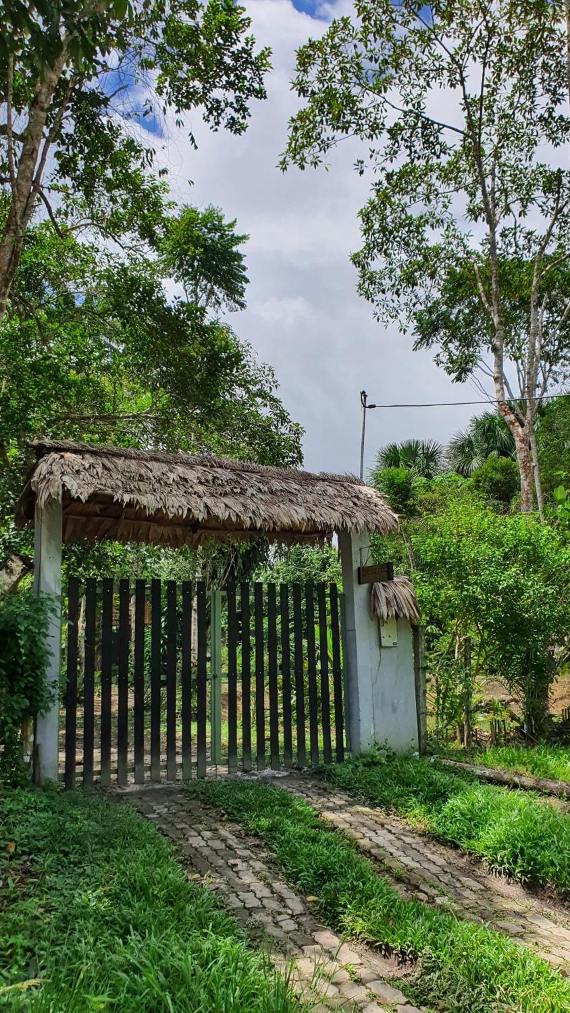 Amazona Lodge Летисия Екстериор снимка