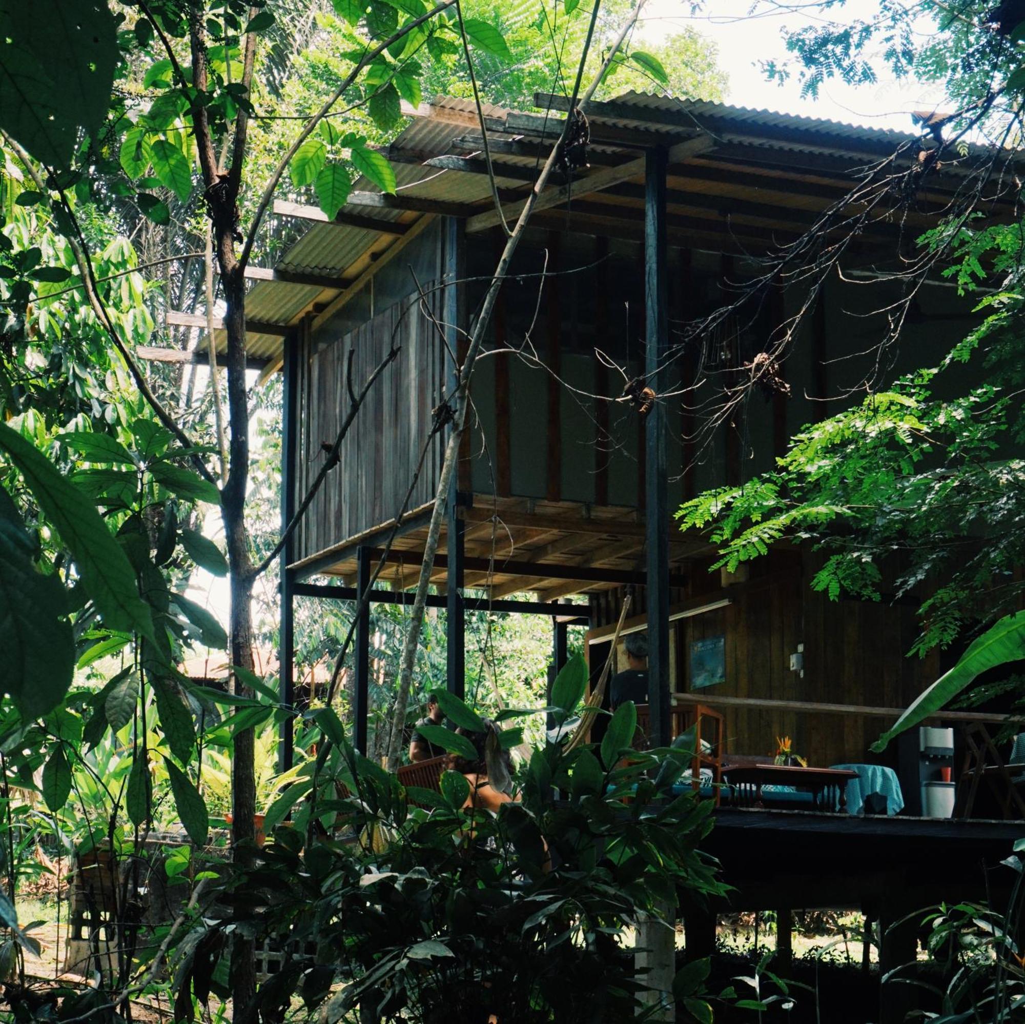 Amazona Lodge Летисия Екстериор снимка